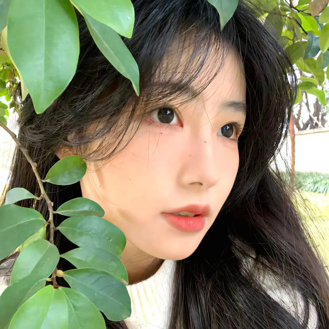 首尔回声